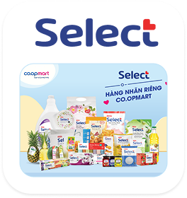SELECT